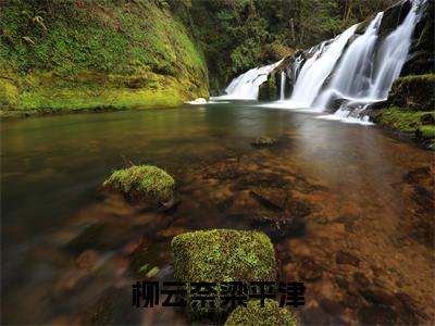 柳云奈梁平津小说全文免费阅读正版梁平津柳云奈免费阅读无弹窗