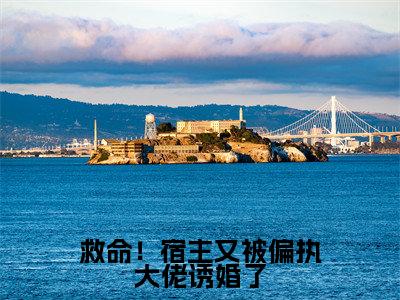 救命！宿主又被偏执大佬诱婚了小说（扶桑战神）热推新书_救命！宿主又被偏执大佬诱婚了最新章节在线阅读_笔趣阁