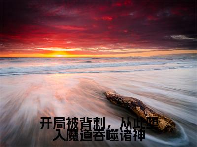 开局被背刺，从此堕入魔道吞噬诸神小说（陆凡）全文免费阅读无弹窗_开局被背刺，从此堕入魔道吞噬诸神最新小说_笔趣阁（陆凡）