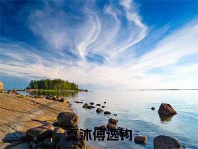 夏沐傅逸钧最新完结免费阅读-夏沐傅逸钧悬疑小说在线阅读