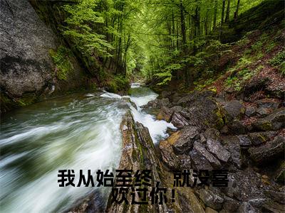 我从始至终，就没喜欢过你！最新章节（宋绾傅西彦）小说推荐阅读-新书我从始至终，就没喜欢过你！精彩阅读