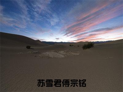 苏雪君傅宗铭（苏雪君傅宗铭）全文免费阅读无弹窗大结局_苏雪君傅宗铭小说（苏雪君傅宗铭）最新章节列表