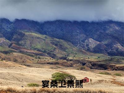 宴桑卫景熙全文免费阅读无弹窗大结局_（卫景熙宴桑完结）宴桑卫景熙小说最新章节列表