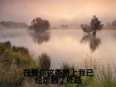 在爱你这条路上我已经走到了死路小说全文免费阅读无弹窗大结局_（在爱你这条路上我已经走到了死路全文免费阅读）沈鹿柠贺星舟最新章节列表笔趣阁