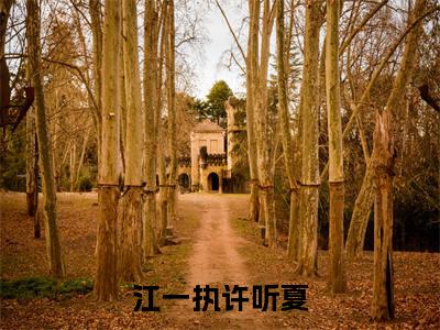 江一执许听夏（江一执许听夏全章节完整版）免费阅读_（江一执许听夏）江一执许听夏全文无删减免费阅读