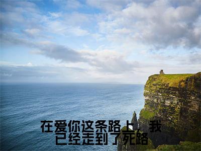 在爱你这条路上，我已经走到了死路沈鹿柠贺星舟无广告阅读新上热文沈鹿柠贺星舟在线免费读