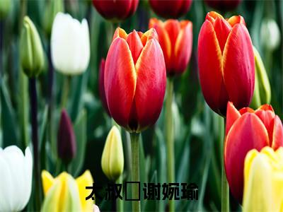 太叔瑱谢婉瑜全文（太叔瑱谢婉瑜）全文免费阅读无弹窗大结局_太叔瑱谢婉瑜全文免费阅读最新章节列表