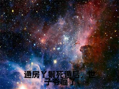 通房丫鬟死遁后，世子爷疯了木槿纪玄全文免费阅读无弹窗大结局_木槿纪玄小说免费阅读