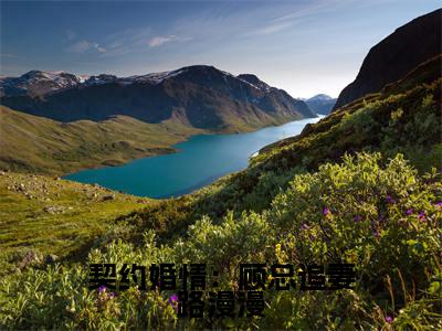 契约婚情：顾总追妻路漫漫小说全文免费阅读_许思漫顾明凯（许思漫顾明凯）最新章节列表笔趣阁