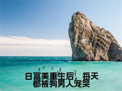 （谢煜安舒倾遥）全文免费阅读无弹窗大结局_白富美重生后，每天都被狗男人宠哭最新章节列表_笔趣阁