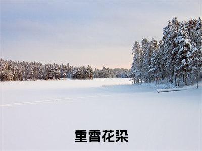 重霄花染精选热门好书-重霄花染（花染重霄）全文无删减版在线阅读