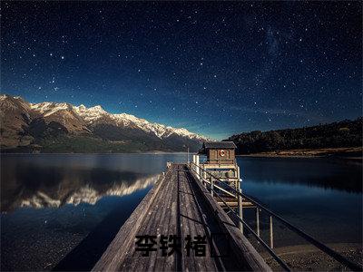 李铁褚徎（李铁褚徎）全文免费阅读无弹窗大结局_李铁褚徎最新章节列表（李铁褚徎）