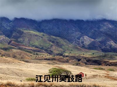 吴歧路江见川小说免费阅读江见川吴歧路全文无弹窗试读