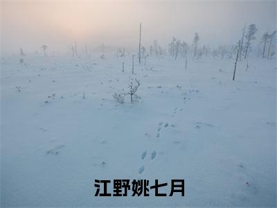 江野姚七月（姚七月江野）新上热文小说全文免费阅读-小说（姚七月江野）完整版阅读