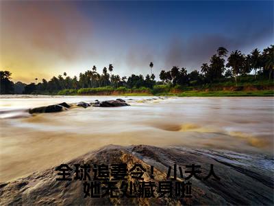 （热推新书）《全球追妻令！小夫人她无处藏身啦》全文免费阅读无弹窗大结局_云栀意厉阈野无弹窗全文阅读
