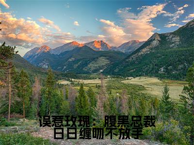 【完整版】（误惹玫瑰：腹黑总裁日日缠吻不放手小说裴寒越岑影）精彩小说全本资源免费阅读结局无删节_裴寒越岑影全章节阅读