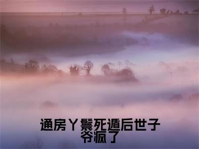 通房丫鬟死遁后世子爷疯了（木槿纪玄）热门小说盘点在线阅读-通房丫鬟死遁后世子爷疯了小说无弹窗