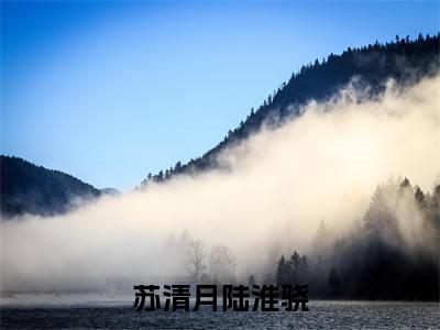 苏清月陆淮骁（苏清月陆淮骁）全文免费阅读无弹窗_（苏清月陆淮骁小说免费阅读）最新章节列表笔趣阁