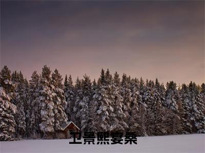 卫景熙宴桑小说免费阅读（宴桑卫景熙）全文免费阅读大结局-（卫景熙宴桑小说免费阅读）好书推荐