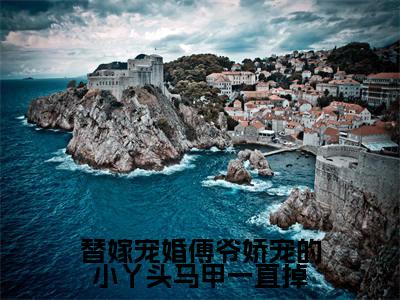 墨霆白浅（替嫁宠婚傅爷娇宠的小丫头马甲一直掉）小说免费下载全本-墨霆白浅（替嫁宠婚傅爷娇宠的小丫头马甲一直掉完整版）免费阅读