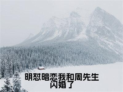 沈南枝周沐衍在线阅读（明怼暗恋我和周先生闪婚了）全文免费阅读无弹窗大结局