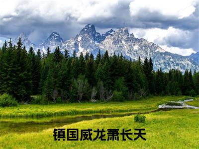 萧长天（镇国威龙萧长天小说）全文免费阅读无弹窗大结局_镇国威龙萧长天小说最新章节列表