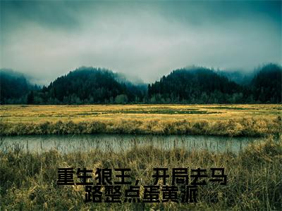 重生狼王，开局去马路整点蛋黄派（叶云）全文免费阅读无弹窗大结局_（叶云）的小说（重生狼王，开局去马路整点蛋黄派）最新章节列表