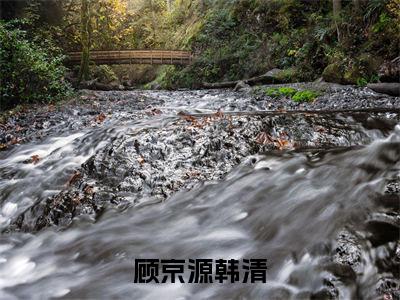 顾京源韩清（韩清顾京源）全文免费阅读无弹窗大结局_顾京源韩清最新章节列表-笔趣阁韩清顾京源