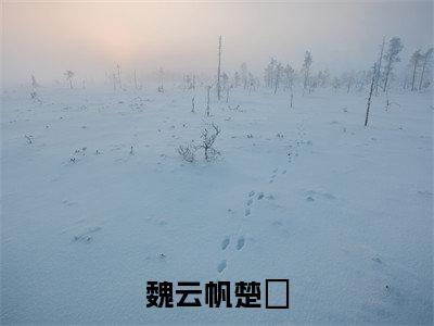 魏云帆楚楽（楚楽魏云帆）免费最新小说_楚楽魏云帆（魏云帆楚楽）免费版今日已更新