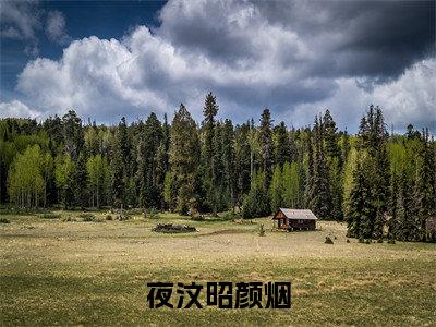 颜烟夜汶昭（夜汶昭颜烟）免费小说-（夜汶昭颜烟）完结版在线阅读
