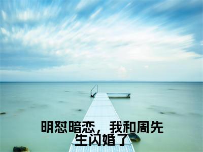 明怼暗恋，我和周先生闪婚了（沈南枝周沐衍）小说全文免费读无弹窗大结局_明怼暗恋，我和周先生闪婚了小说章节试读最新章节列表笔趣阁
