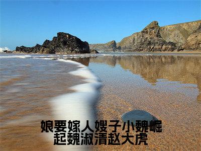 娘要嫁人嫂子小魏崛起魏淑清赵大虎全文免费阅读大结局-（魏淑清赵大虎）最新章节列表在线阅读