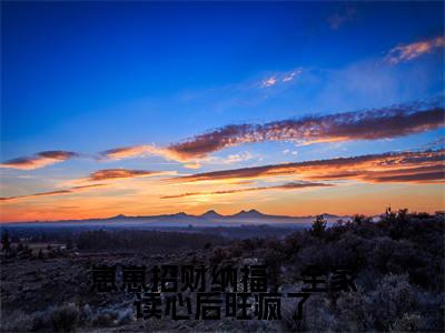 阮笙笙全文免费阅读大结局-崽崽招财纳福，全家读心后旺疯了最新章节阅读