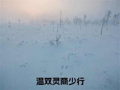 温双灵商少行（商少行温双灵）全文完整版免费阅读_温双灵商少行最新章节列表_笔趣阁（商少行温双灵）