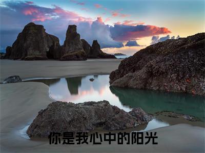 你是我心中的阳光全文免费阅读无弹窗大结局_（苏蔷薇荆司阳）你是我心中的阳光免费阅读无弹窗最新章节列表_笔趣阁