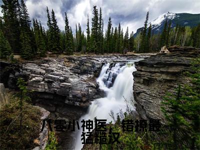 江晚晚陆青峰在哪免费看江晚晚陆青峰结局是什么（八零小神医，错撩最猛糙汉）小说无弹窗免费阅读