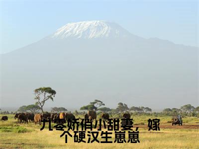 九零娇俏小甜妻，嫁个硬汉生崽崽（程紫谢辞）全文免费阅读大结局_（程紫谢辞免费阅读）九零娇俏小甜妻，嫁个硬汉生崽崽全文在线完本阅读