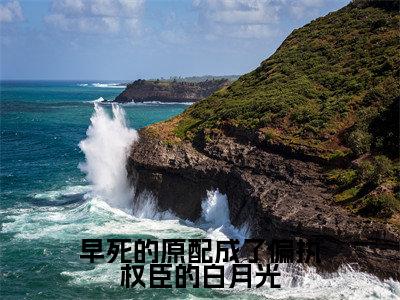 精选小说早死的原配成了偏执权臣的白月光（李月瑶苏御）全本阅读_李月瑶苏御免费阅读_笔趣阁