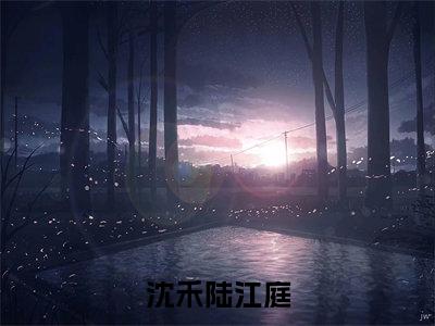 沈禾陆江庭小说最新试读_陆江庭沈禾是（沈禾陆江庭全文完整版免费阅读）_笔趣阁