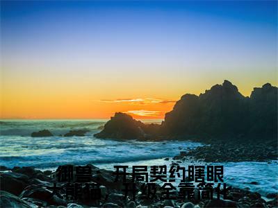 小说御兽：开局契约瞎眼大熊猫，升级全靠简化免费在线阅读-小说主角叫青辰的小说完整版免费读全文