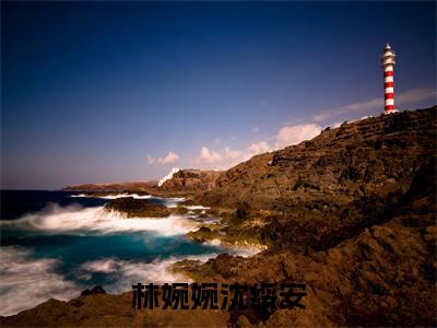 沈绥安林婉婉免费阅读（林婉婉沈绥安）全文免费阅读无弹窗大结局_沈绥安林婉婉免费阅读最新章节列表