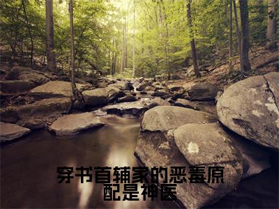 （免费）+（番外）主角是叶浅浅苏墨阳的小说-穿书首辅家的恶毒原配是神医全文无弹窗免费阅读