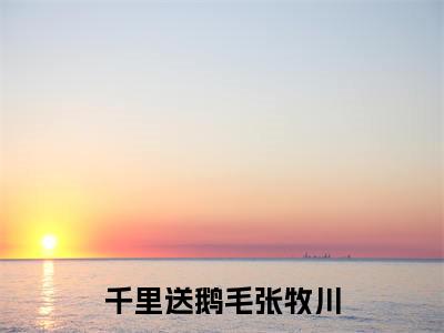 千里送鹅毛张牧川小说全文免费阅读无弹窗-（张牧川阅读无弹窗）穿越小说免费阅读_笔趣阁