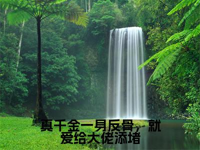 真千金一身反骨，就爱给大佬添堵（沈熄季换澜全文免费大结局）在线阅读-沈熄季换澜全文无删减免费赏析