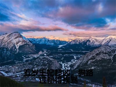 五岁王妃超凶，狗路过都得挨骂全文免费阅读在线阅读司南南凤知忧全文免费阅读最新章节列表_笔趣阁