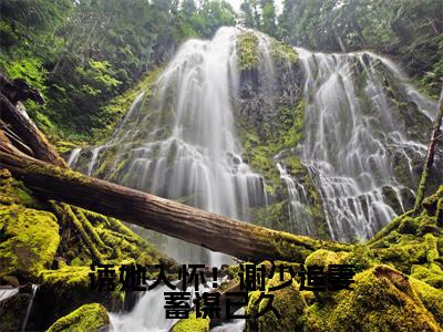 榜单小说诱她入怀！谢少追妻蓄谋已久全文免费阅读无弹窗大结局-谢策温迎全文在线阅读