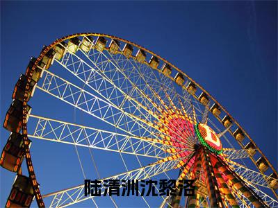沈黎洛陆清洲小说（陆清洲沈黎洛）免费阅读_沈黎洛陆清洲小说免费阅读-笔趣阁