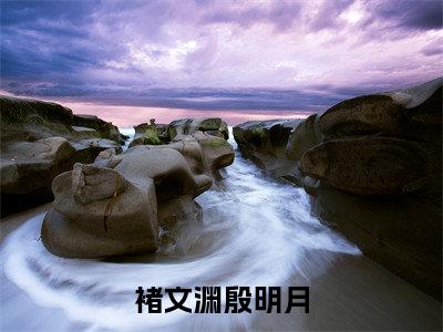 褚文渊殷明月（殷明月褚文渊）全文免费阅读无弹窗大结局_殷明月褚文渊最新章节列表