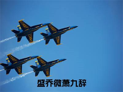 盛乔微萧九辞（盛乔微萧九辞）全文完整版免费阅读_盛乔微萧九辞最新章节列表_笔趣阁（盛乔微萧九辞）