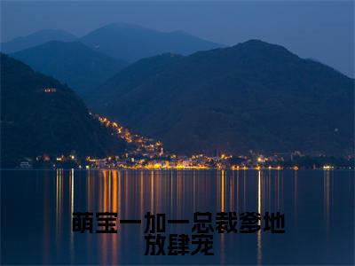 蔺商左薇全文免费阅读无弹窗大结局_萌宝一加一总裁爹地放肆宠章节列表_笔趣阁